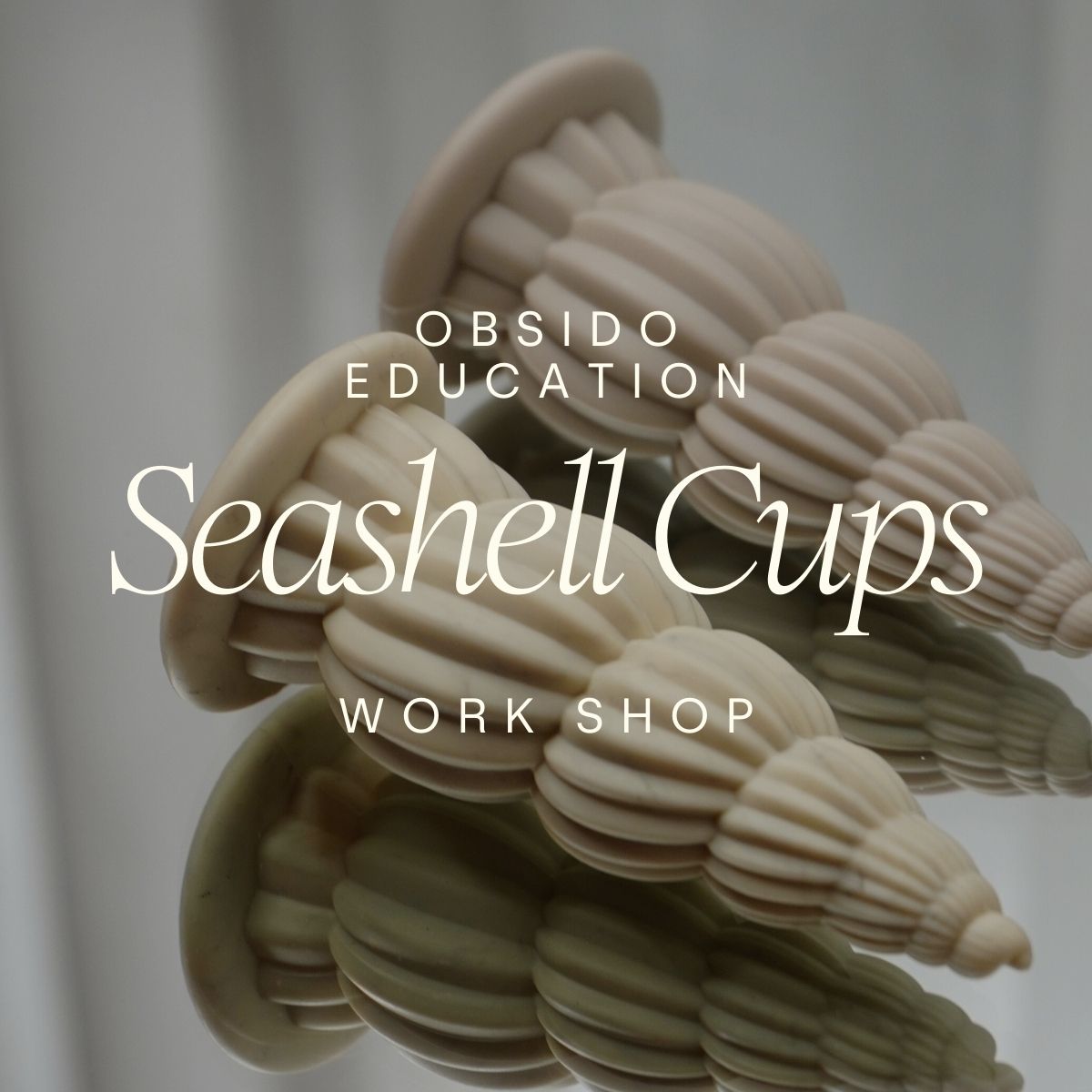 Seashell Cupping Masterclass – 26 Mar 2026 - Workshop - OBSIDOSTUDIO.COM