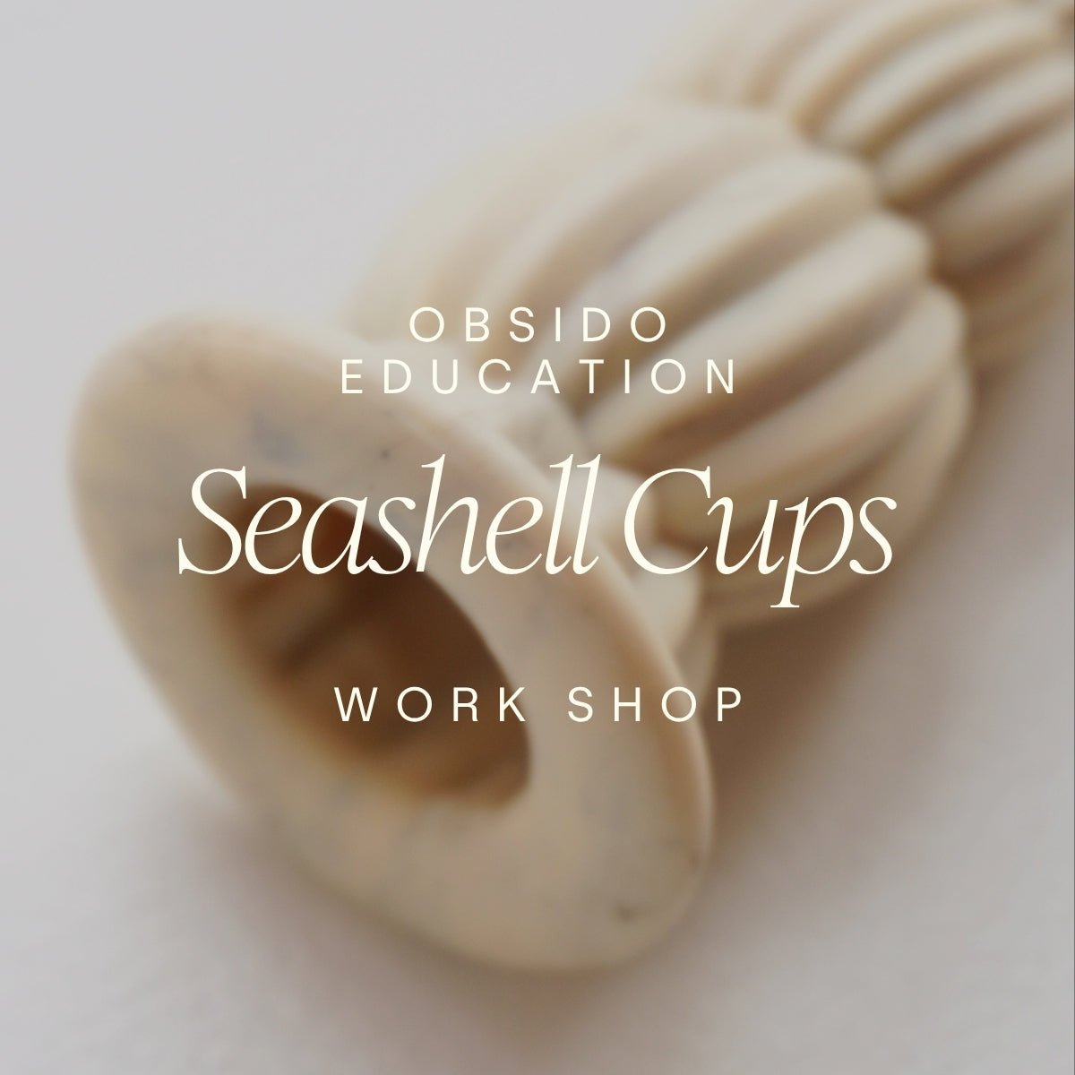 Seashell Cupping Workshop – 3 Sep 2026 - 8 Pladser tilbage - Workshop - OBSIDOSTUDIO.COM